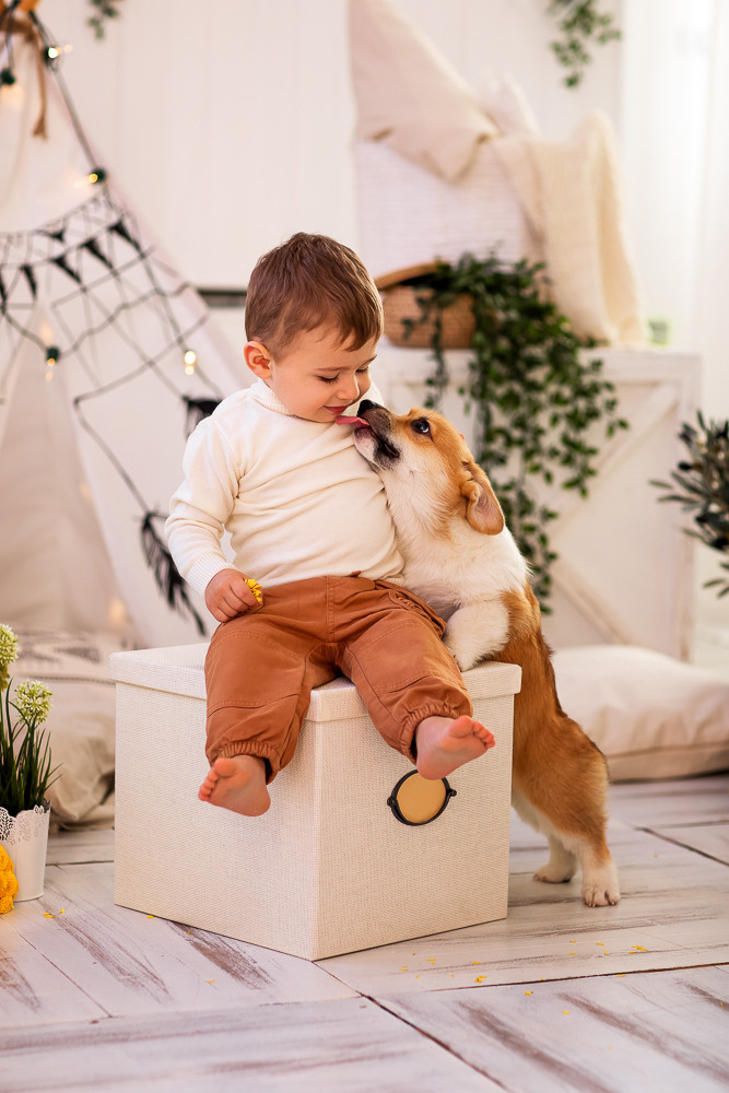 С щенками. Семейный фотограф в Донецке Елена Горбатенко