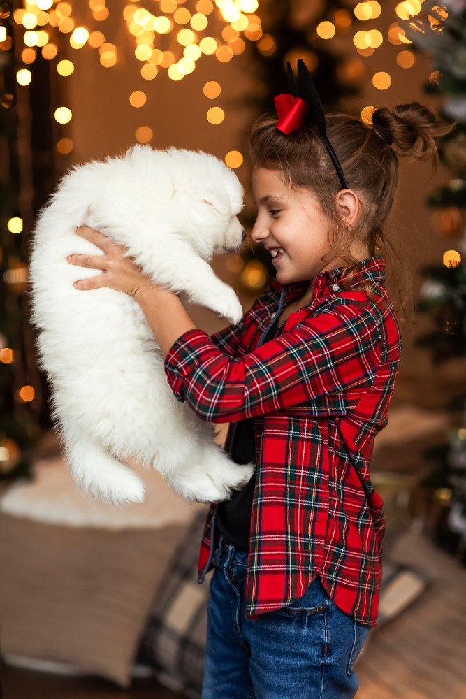 С щенками. Семейный фотограф в Донецке Елена Горбатенко
