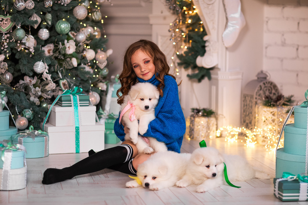 С щенками. Семейный фотограф в Донецке Елена Горбатенко