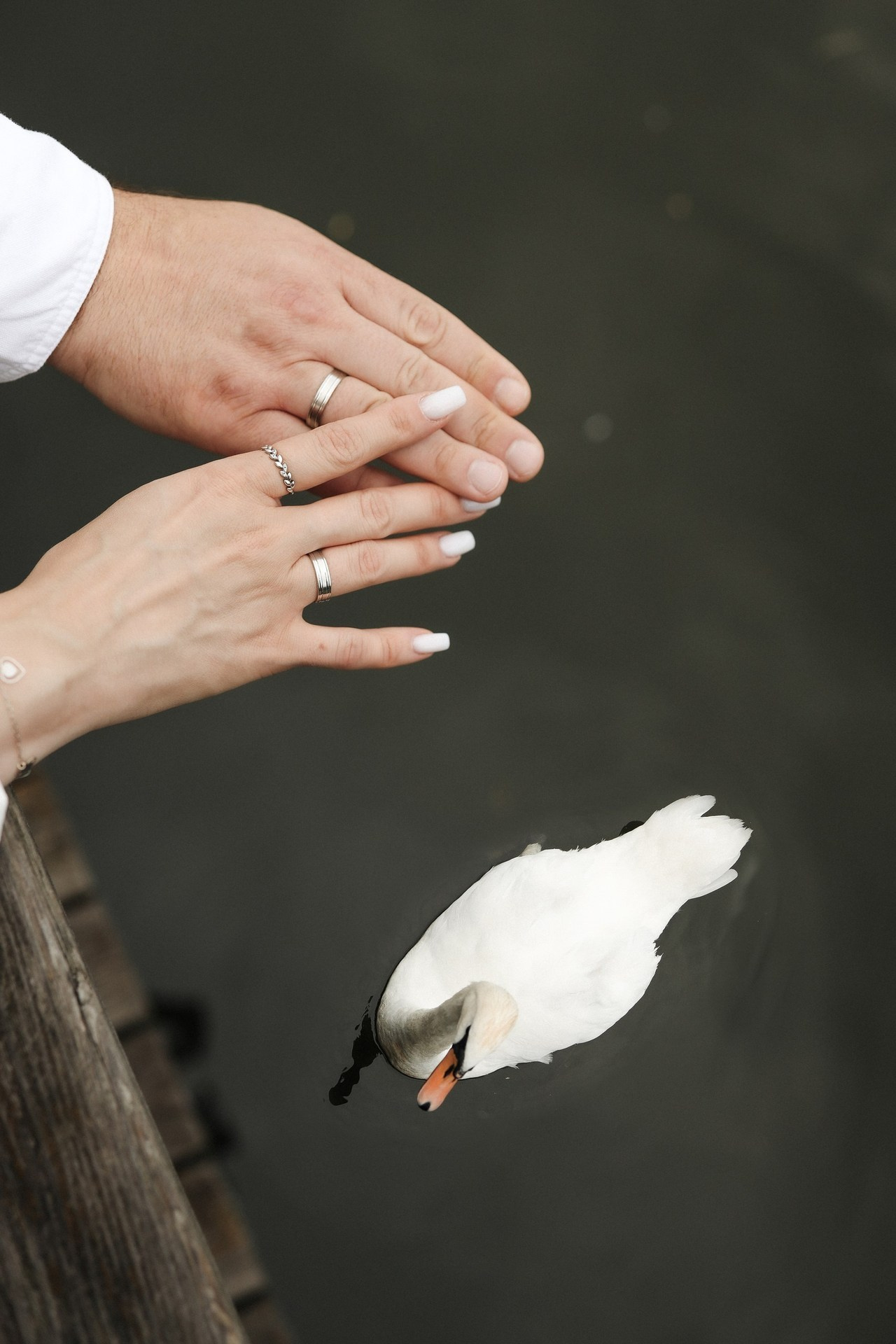Отзывы. Семейный и lovestory фотограф в Москве Светлана Коняхина