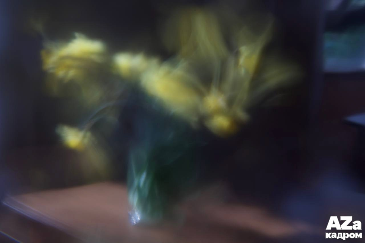 AZакадром «Фотофанты». Женский семейный фотограф Тула Москва Захарова Анна