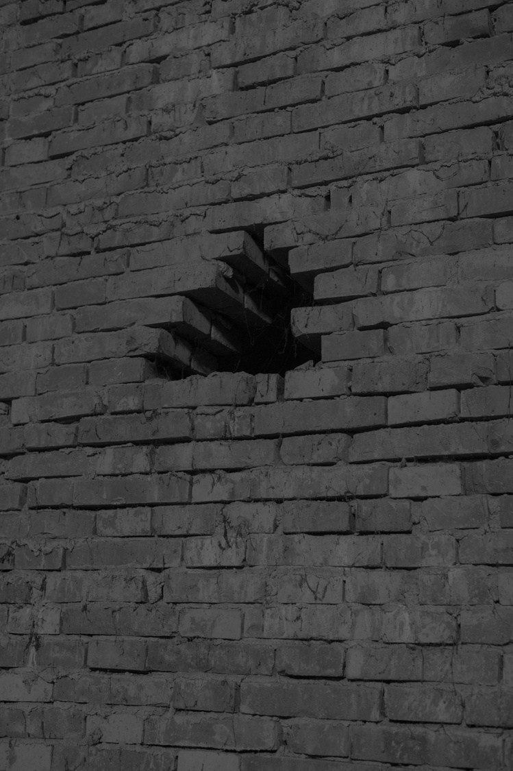 Проект Розы Лакавалла (Rosa Lacavalla) «Sana Sana». Private image