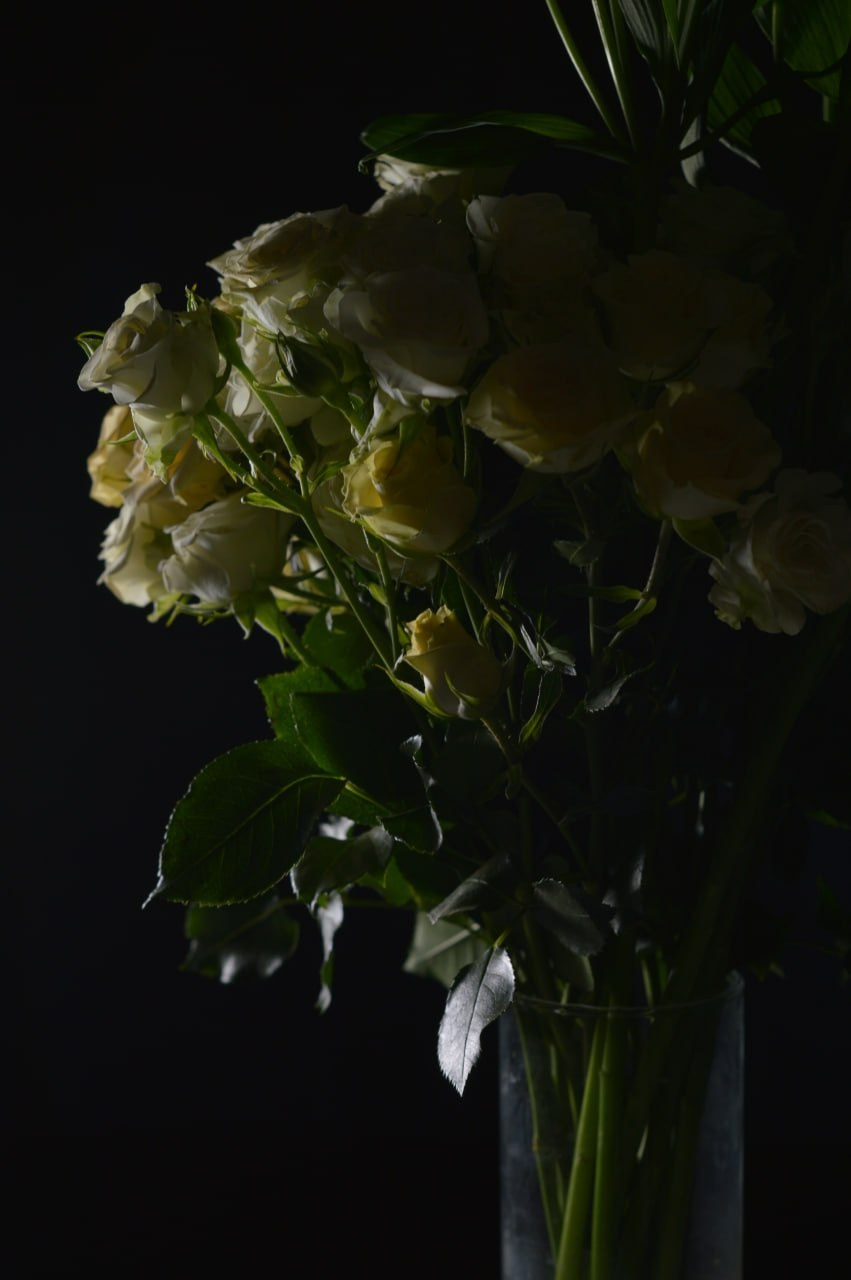 Мастер классы. CKflora