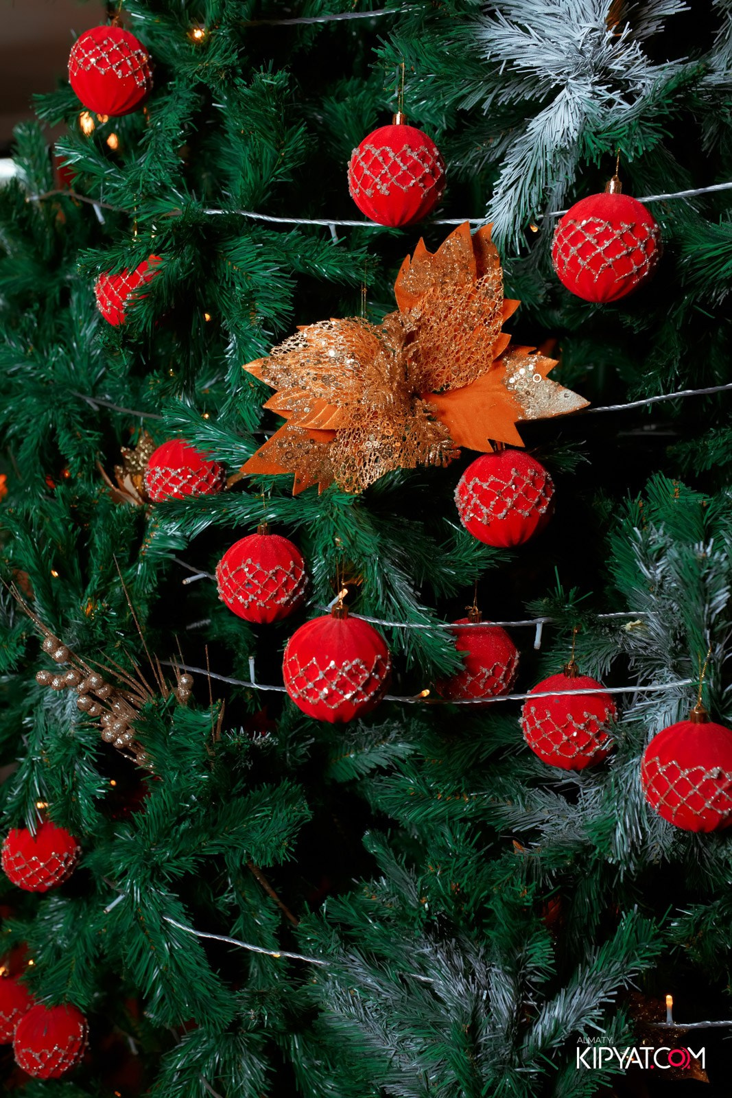 ГРУЗИНСКИЙ ДВОР НА КАБАНБАЙ БАТЫРА. КИПЯТКОМ АЛМАТЫ!