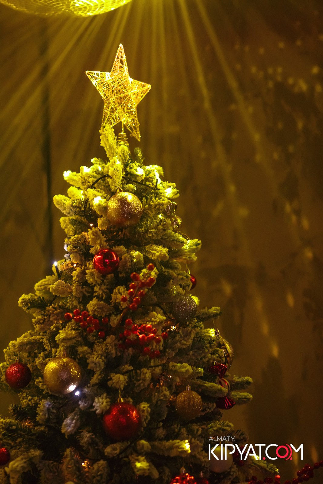 ДОРОГАЯ Я НЕ ПИЛ. КИПЯТКОМ АЛМАТЫ!