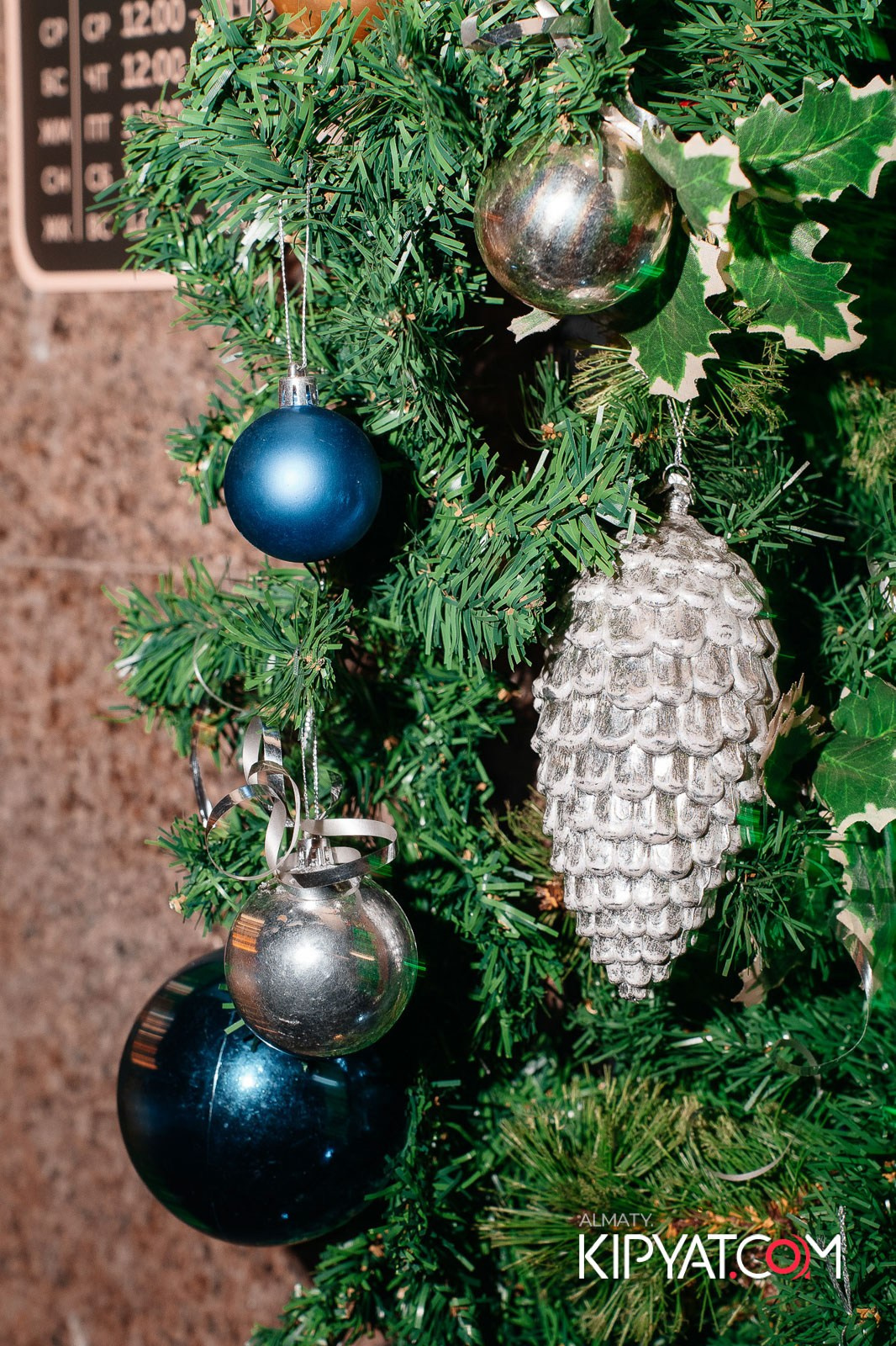 ПИНТА НАЗАРБАЕВА. КИПЯТКОМ АЛМАТЫ!