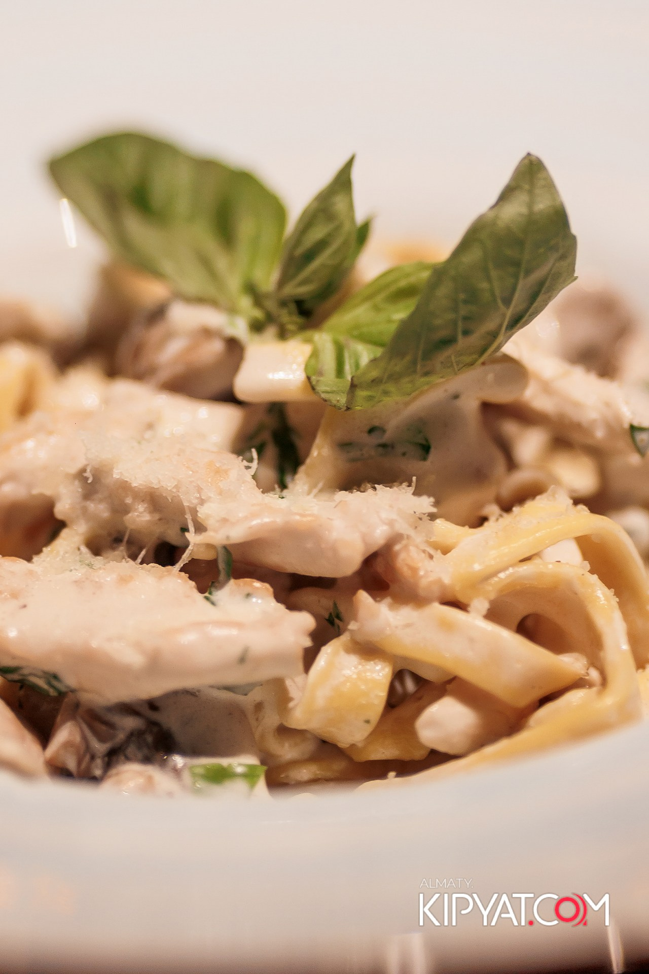 OLOVO НА САТПАЕВА. КИПЯТКОМ АЛМАТЫ! Фотосъемка мероприятий в Алматы