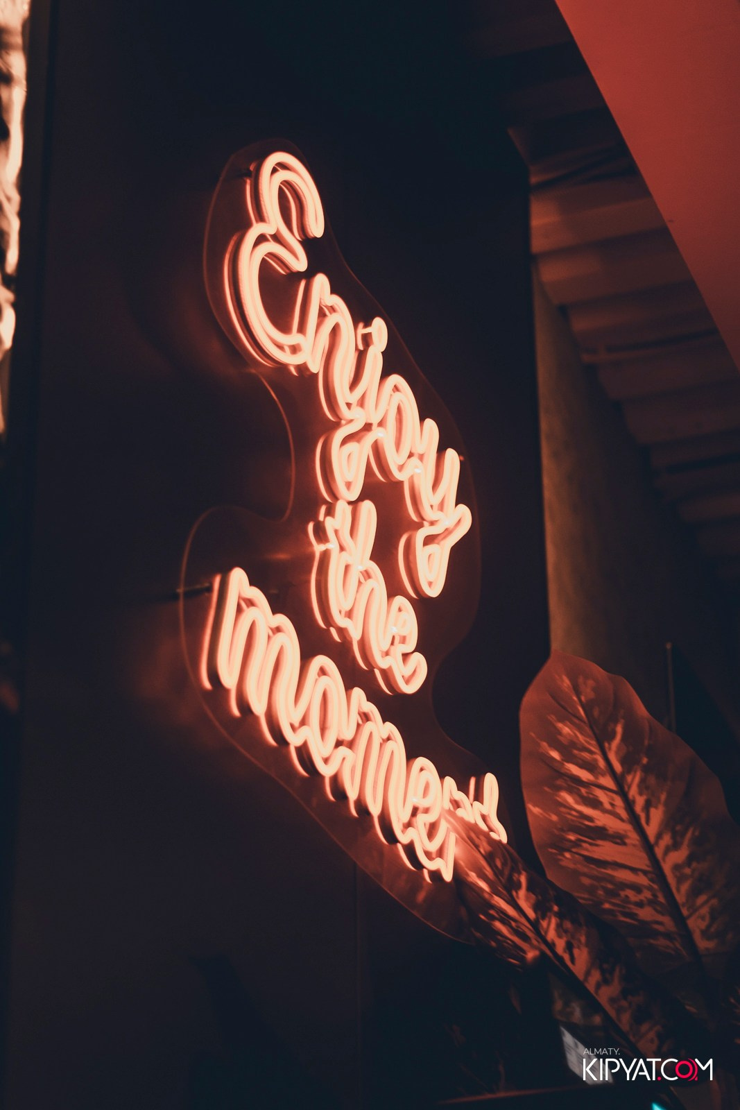 МЯТА PLATINUM НА АБАЯ. КИПЯТКОМ АЛМАТЫ! Фотосъемка мероприятий в Алматы