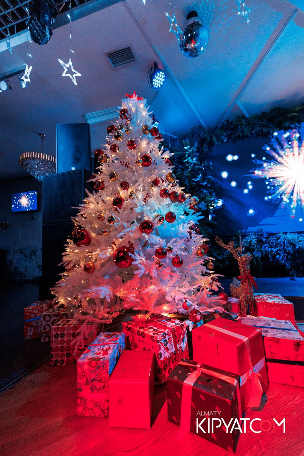 УХО И МЕДВЕДЬ НА КУРМАНГАЗЫ. КИПЯТКОМ АЛМАТЫ!