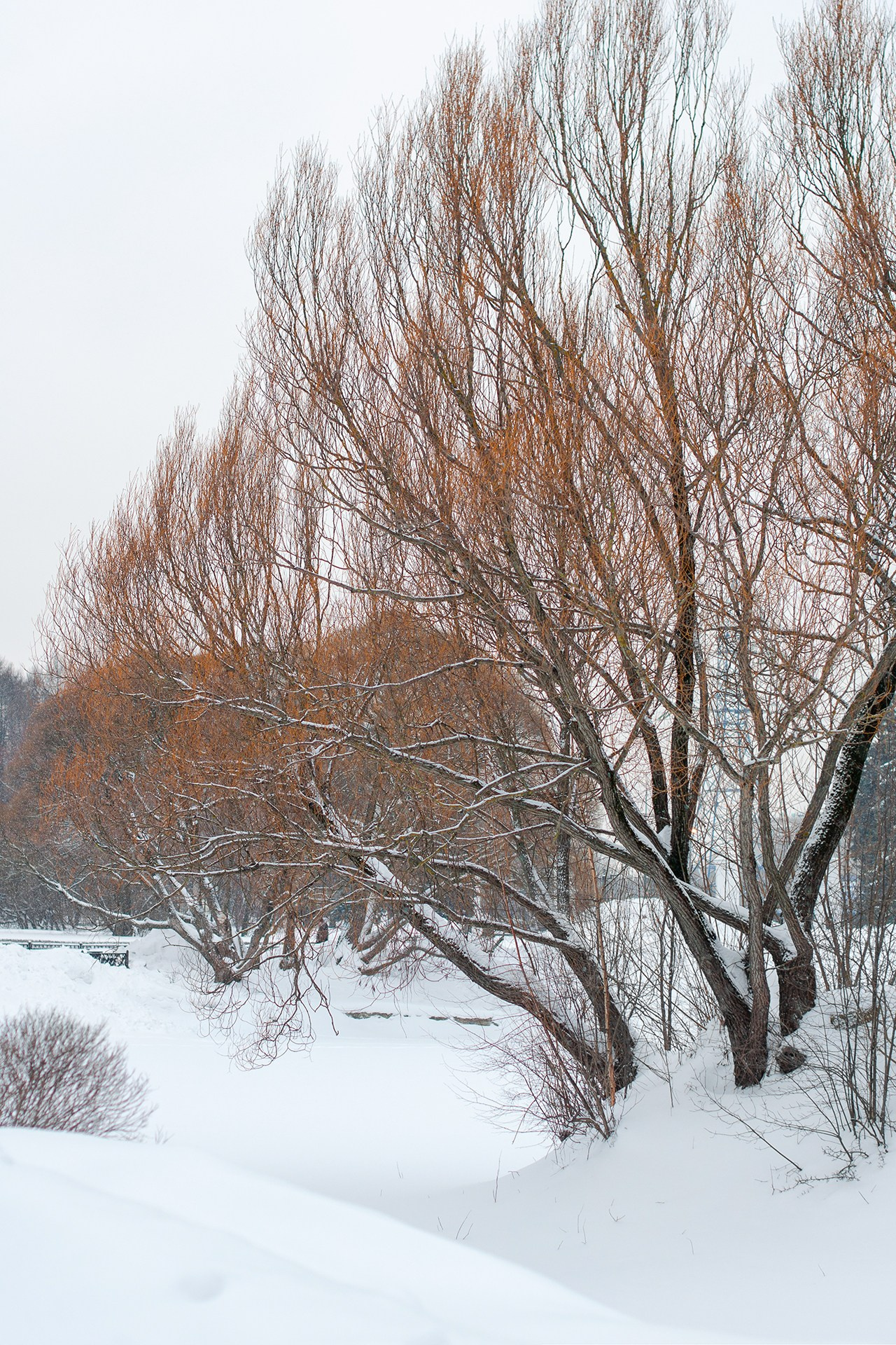 Landscape фото. Фотограф и художник Kerry Moore