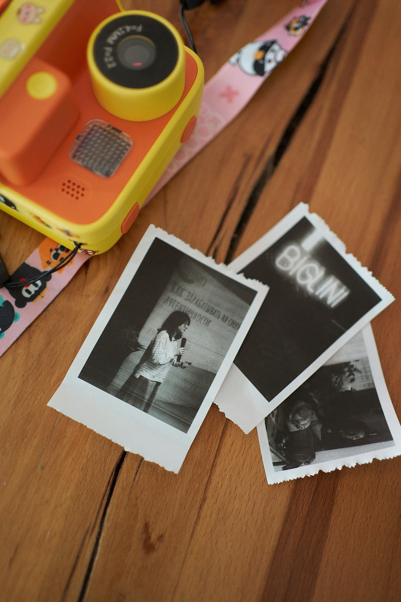 Пёсобиз. Фотограф анималист Москва Дарья