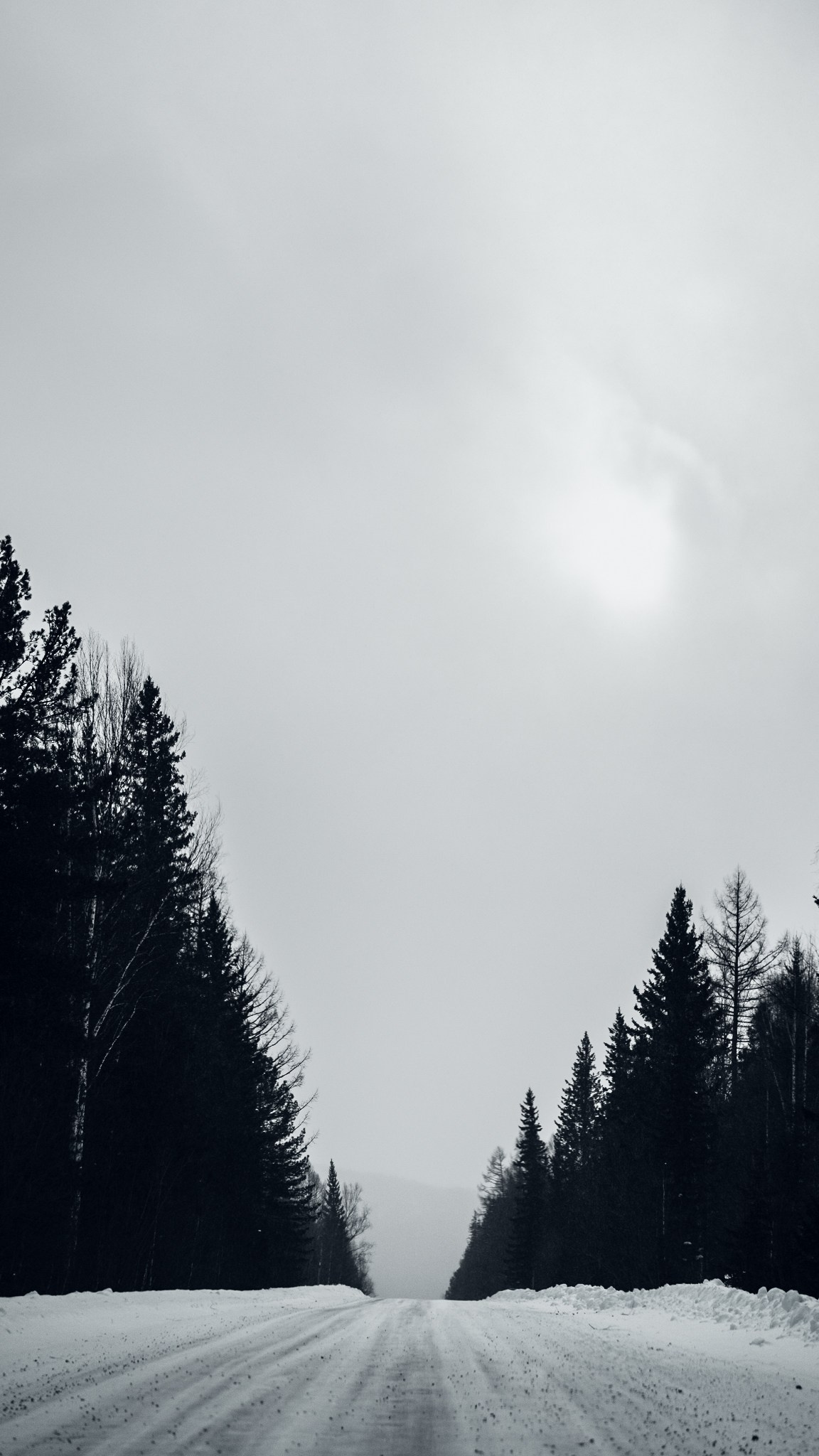 Приисковое. Человек с фотокамерой