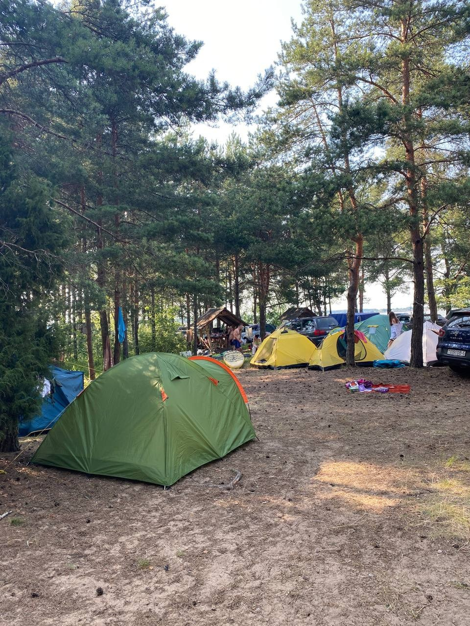 Территория. Добро пожаловать в Кемпинг — уникальное место для отдыха на лоне природы!