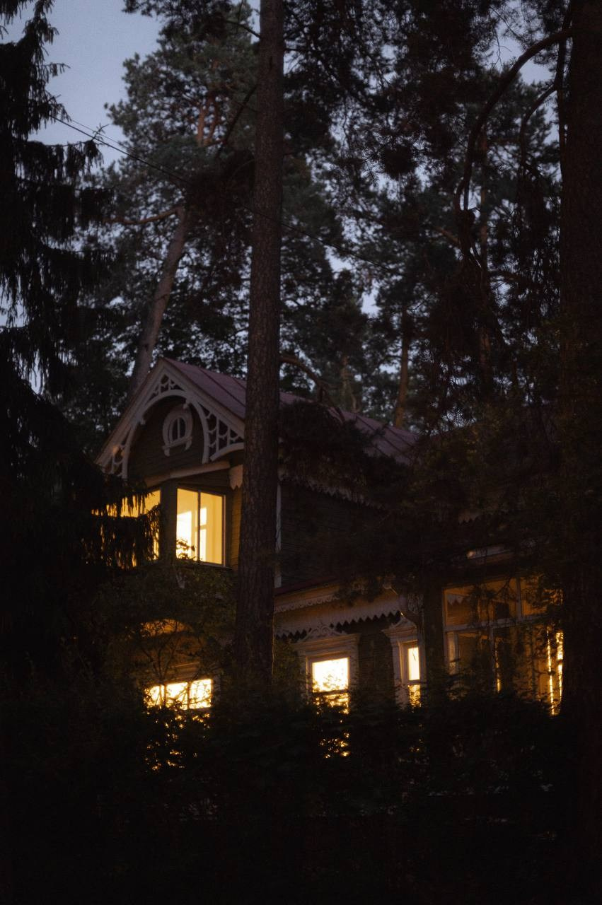 Летний вечер в Сосновом бору. Афина Ефимова. Свадебный фотограф Москва