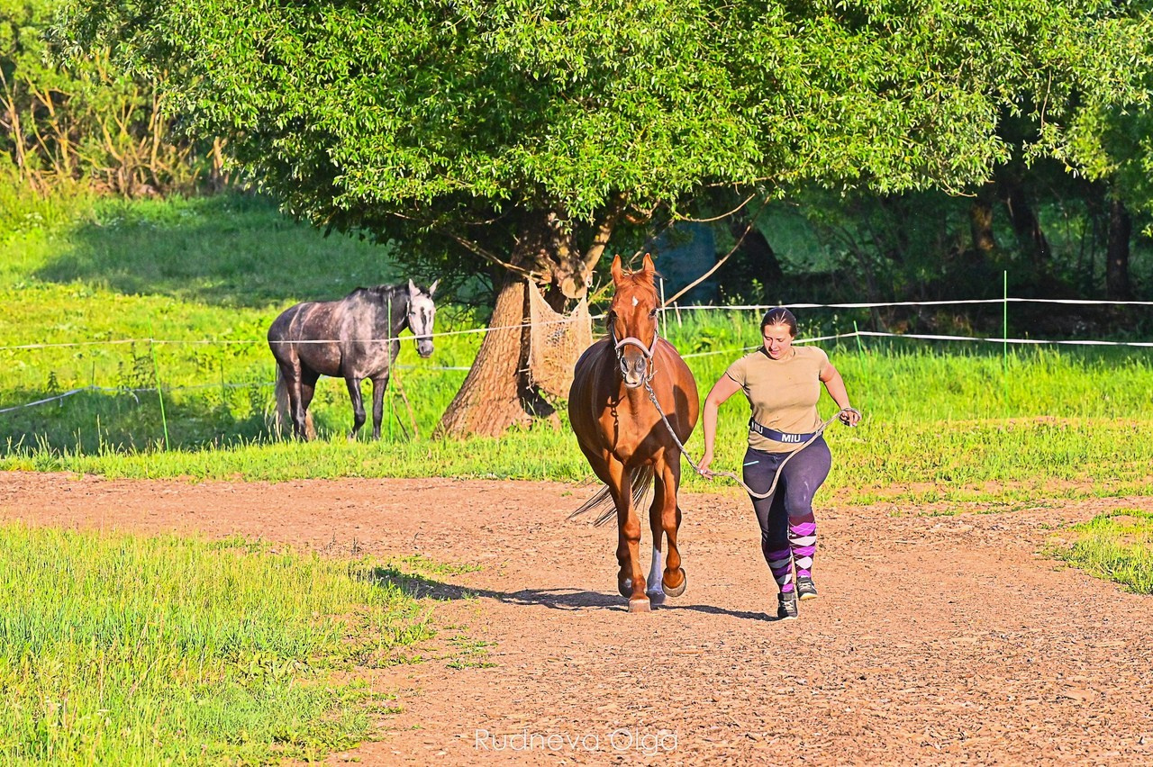 Отзывы. ТУРНИРНАЯ КОННАЯ ФОТОГРАФИЯ, Руднева Ольга и Евгений Адеев
