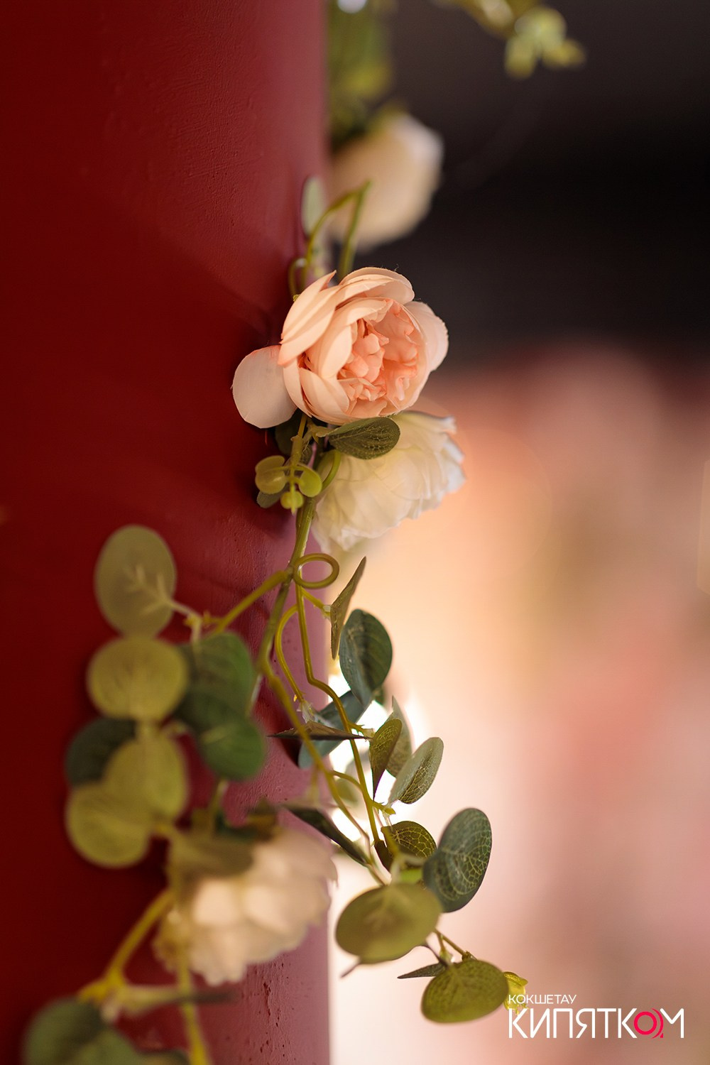 HANAMI. КИПЯТКОМ КОКШЕТАУ