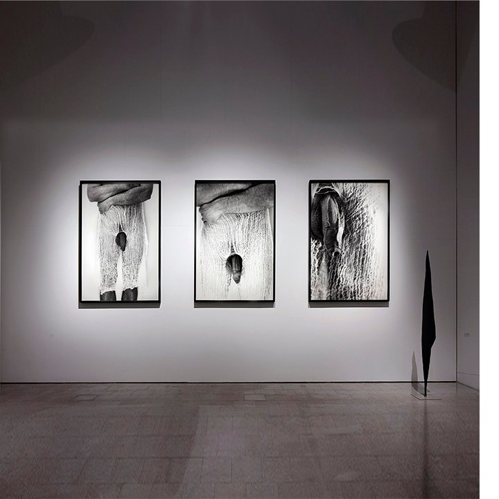 Галерея посвящена моим фотовыставкам и фотопроектам. Портретный и художественный фотограф в Москве Пётр Корень