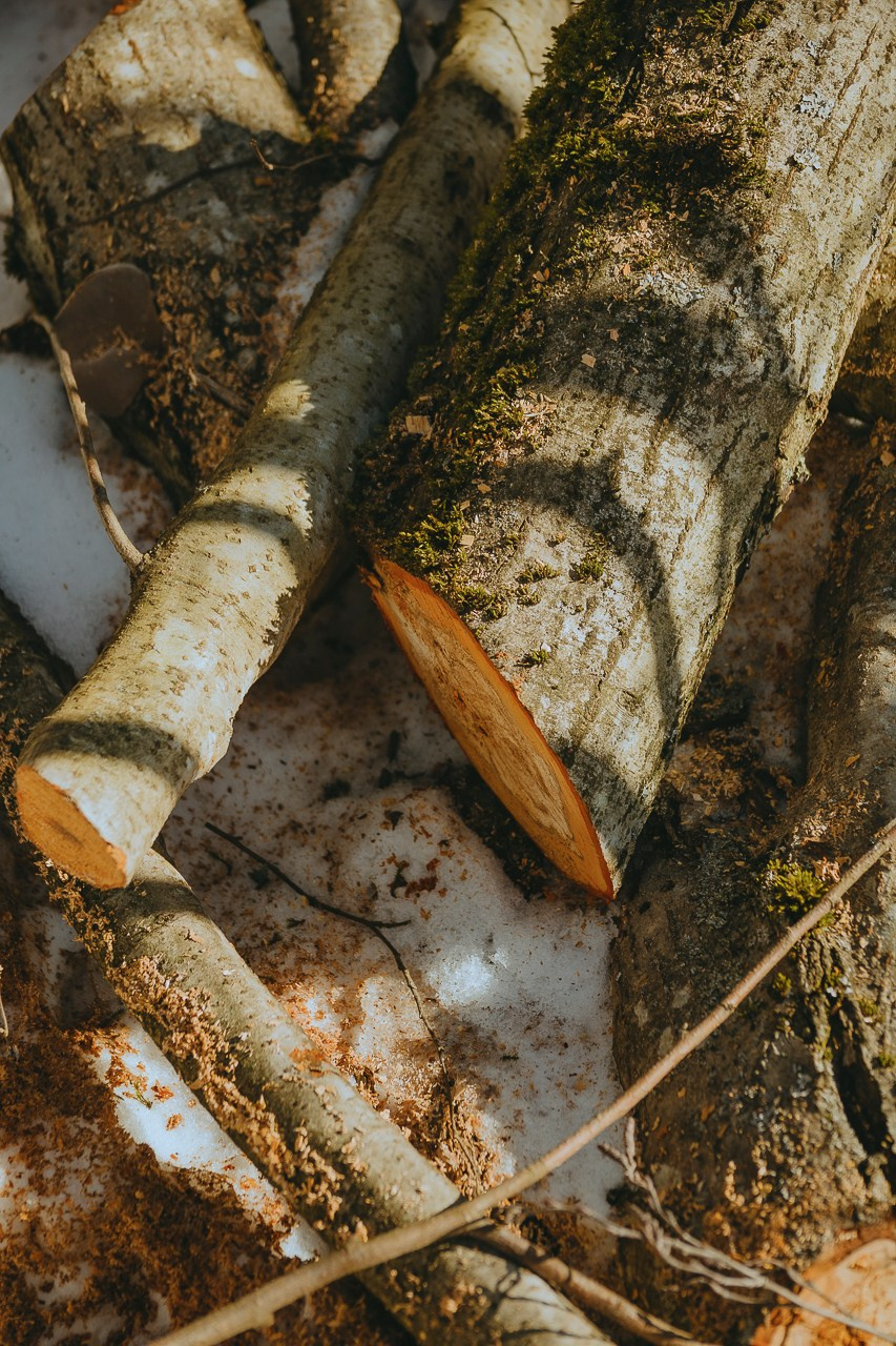 Март 2024. Фотограф в Москве Алиса Ридель