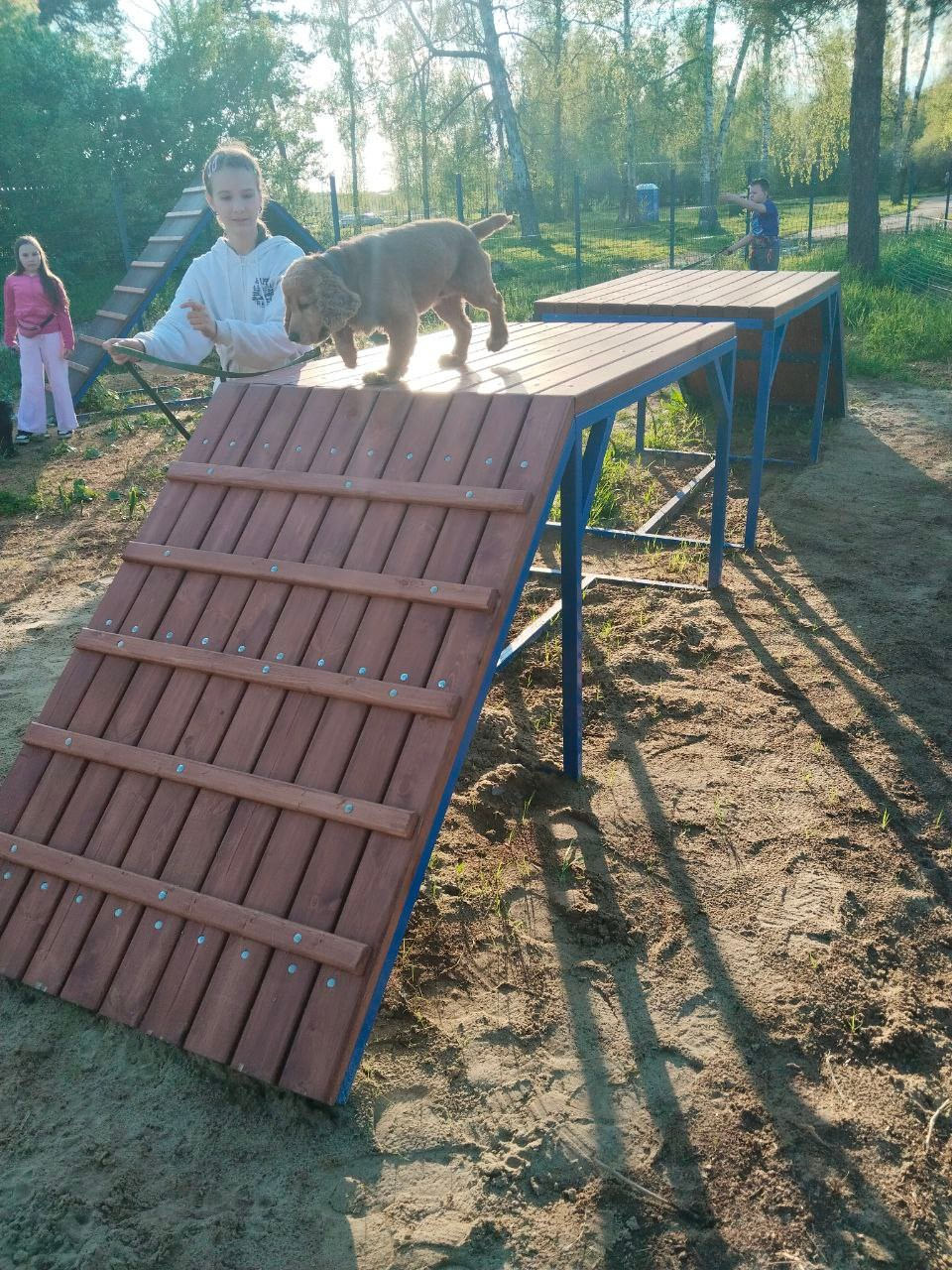 Практические занятия по дрессировке. НРОО КЦ "Собаковод"