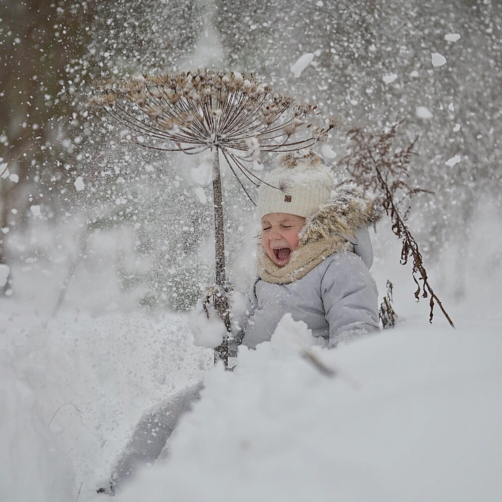 В снегу). Фотограф Ваших событий 📸