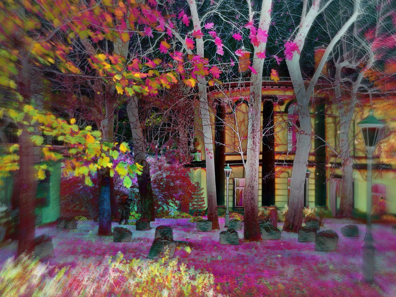 NEON LIGHT. VISUAL ARTIST