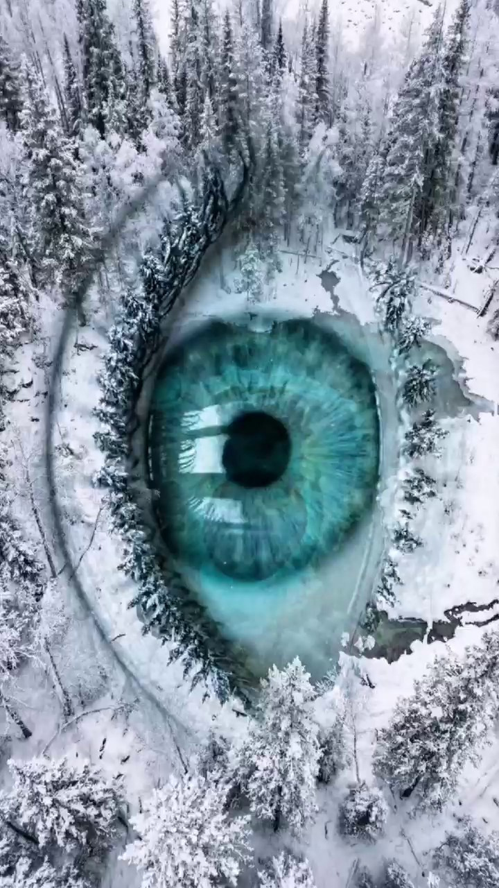 Портфолио ИИ. AI-контент (генерации ИИ-фото и видео), стоковые фотографии Калининградской области