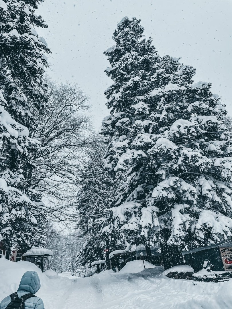 Адыгея. Александра Мельниченко/ Бегающий фотограф
