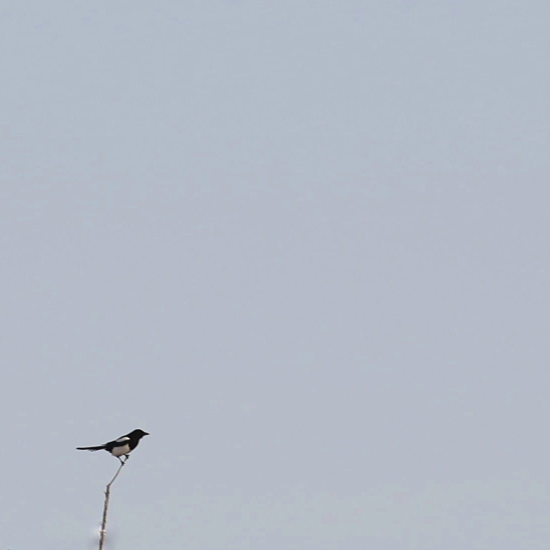 2022. Тащилин Сергей. Фотографии. Жизнь. Хобби