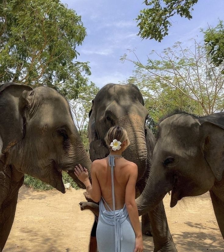 Фототур в Тайланд. Студийный фотограф в Краснодаре