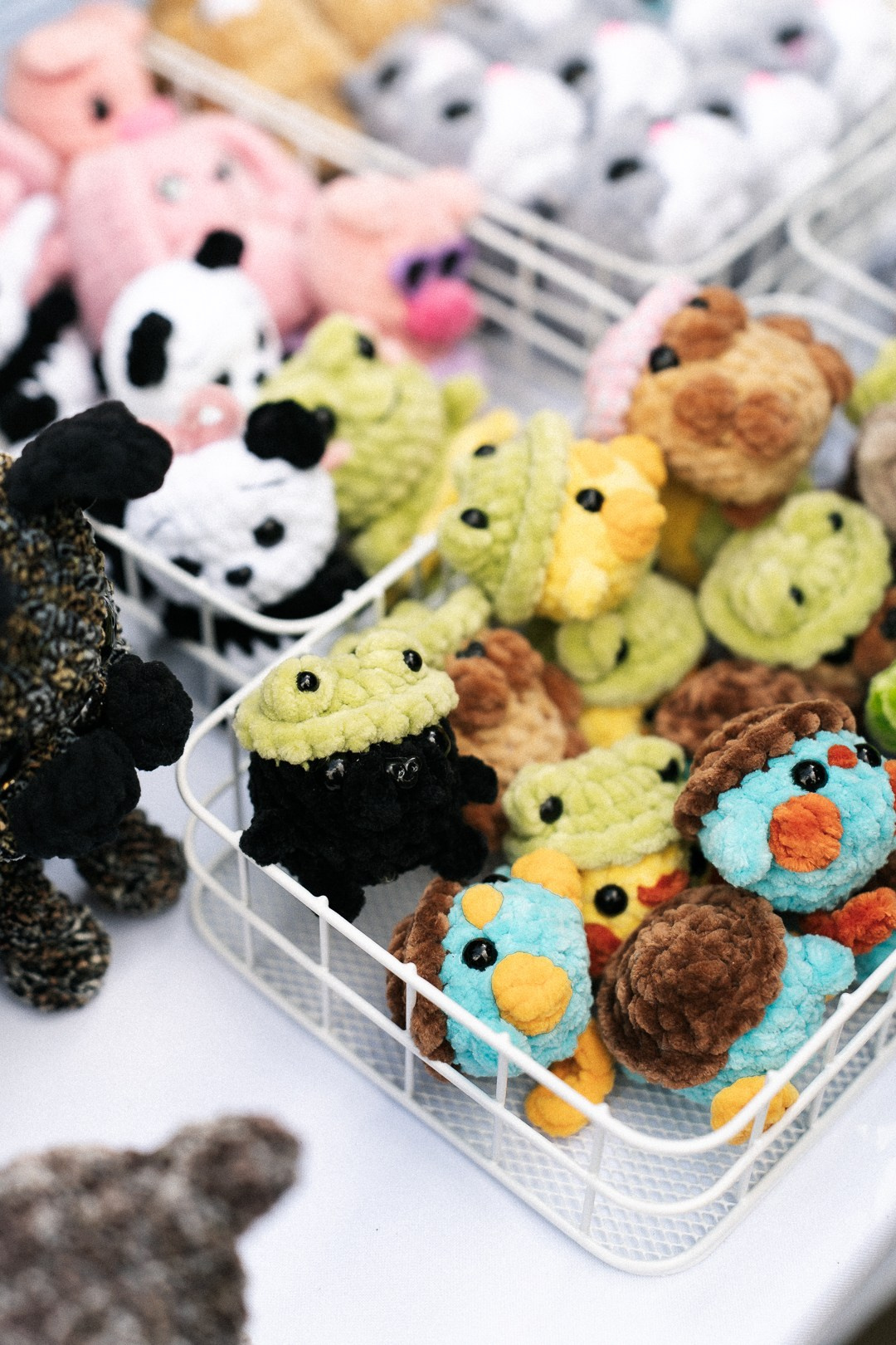 Парад Бульдогов. Axenov_eugene