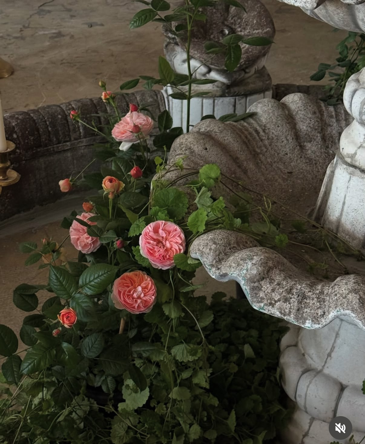 Фотостудия МОХ Зал Сказки. Фотограф Настя Лев