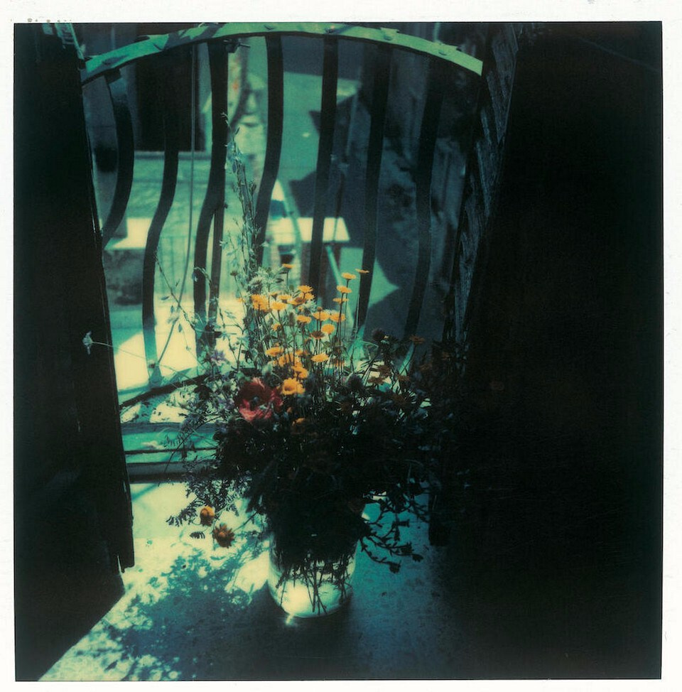 Композиция кадра. Семейный и свадебный фотограф в Майкопе Михаил Мартиросян