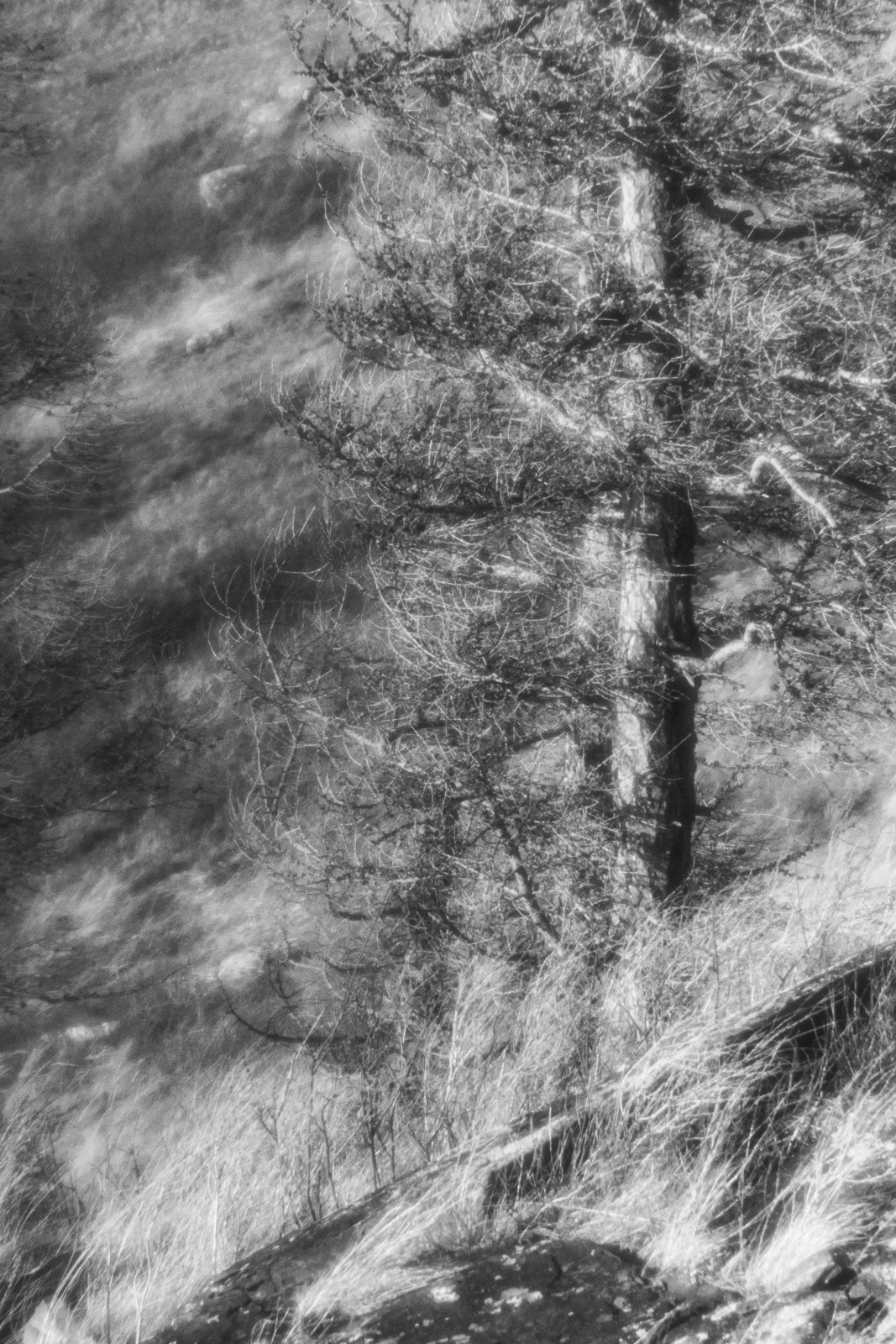 Portfolio. Estetyka