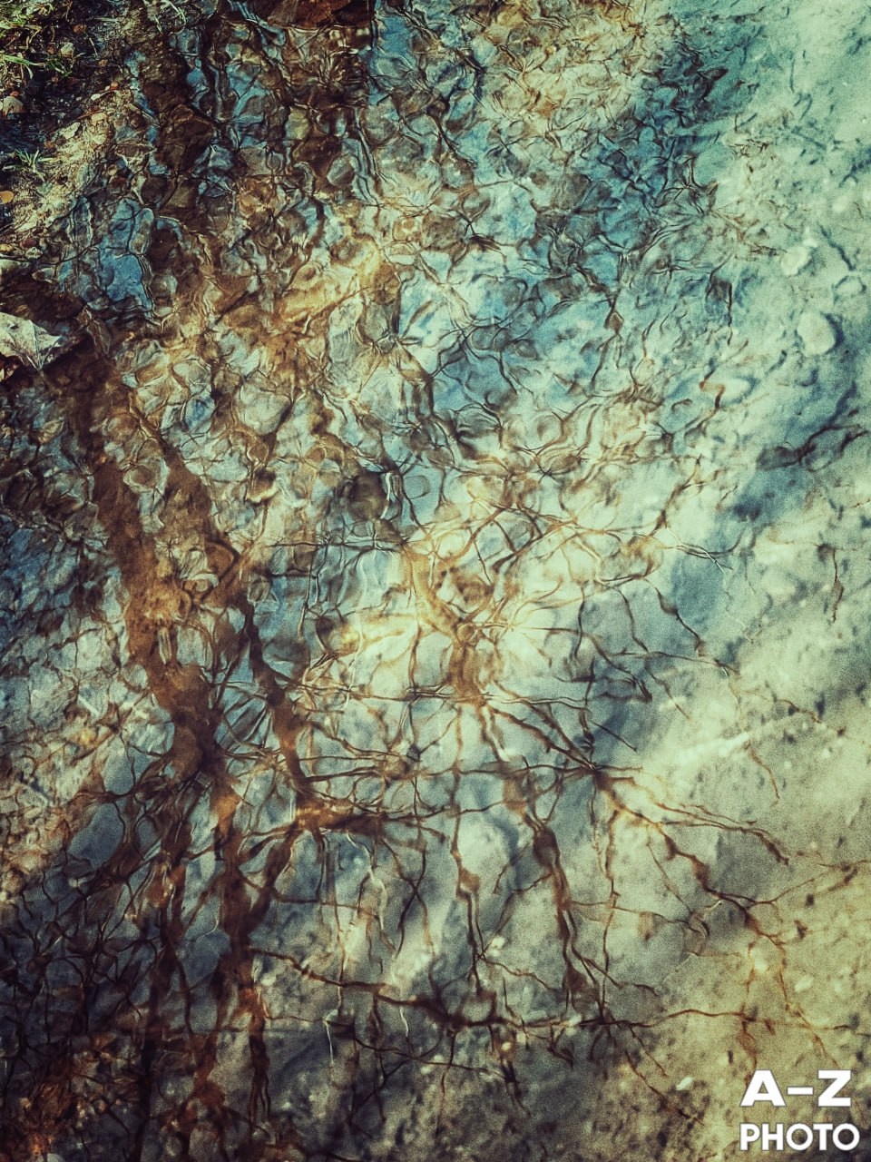 #ФОТОНЕДЕЛИ 13.04.2026. Женский семейный фотограф Тула Москва Захарова Анна