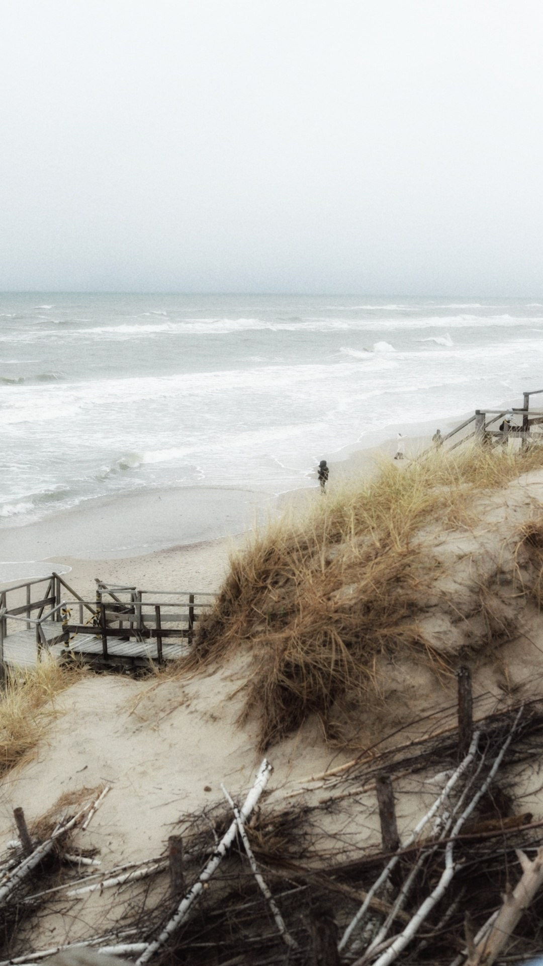 Природа. Фотограф Москва и МО: бизнес и женские портреты, контент для соцсетей