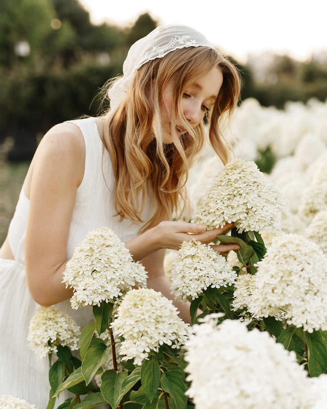 Катя и гортензии. Свадебный фотограф Краснодар Марина Зверева