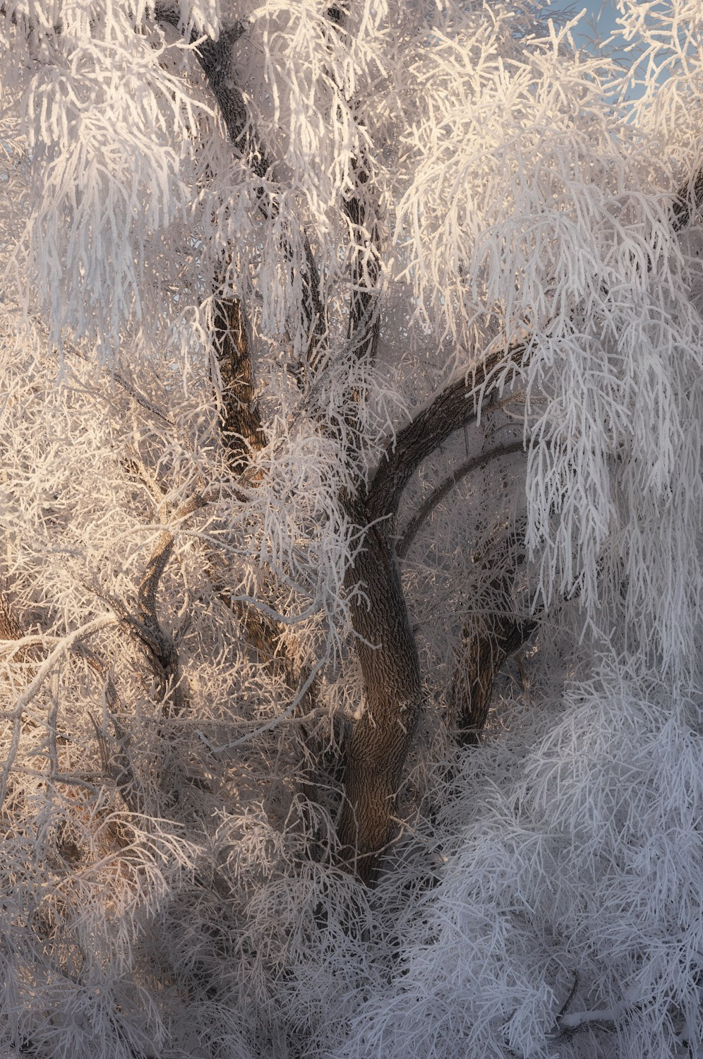 Состояния природы. Профессиональный пейзажный фотограф Алёна Рубан