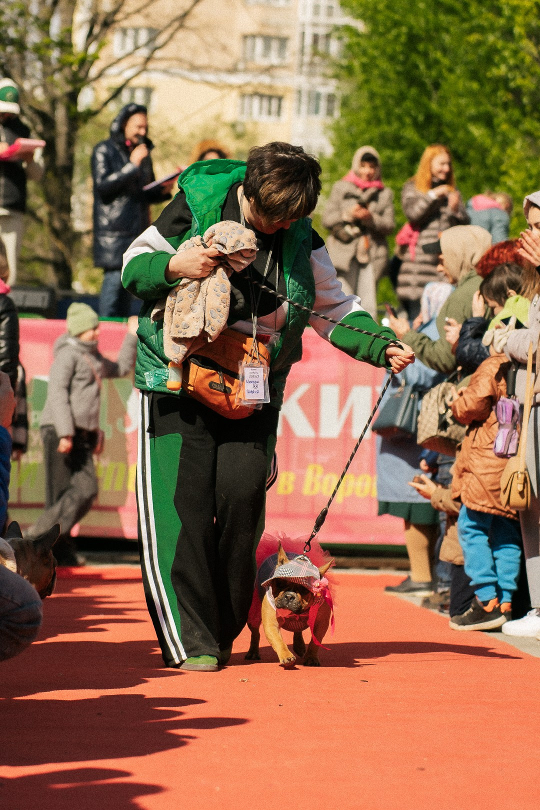 Парад Бульдогов. Axenov_eugene