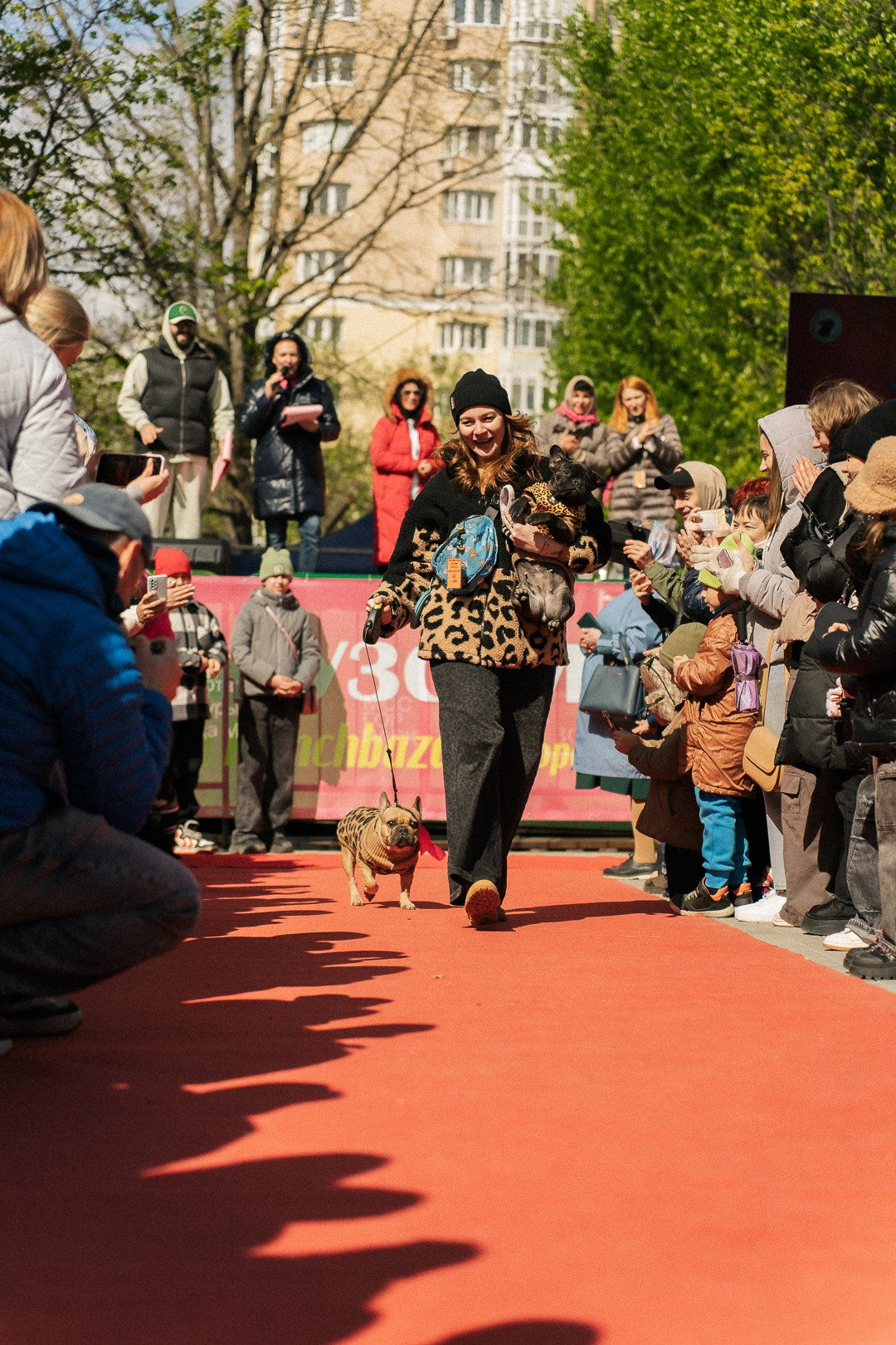 Парад Бульдогов. Axenov_eugene