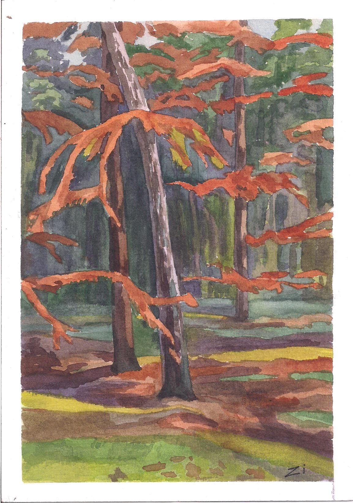 Акварель. Фотограф Юлия Зимина