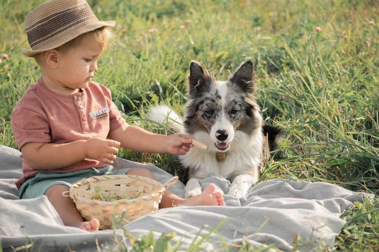 Фритсвит. Семейный фотограф Ефремова Виктория