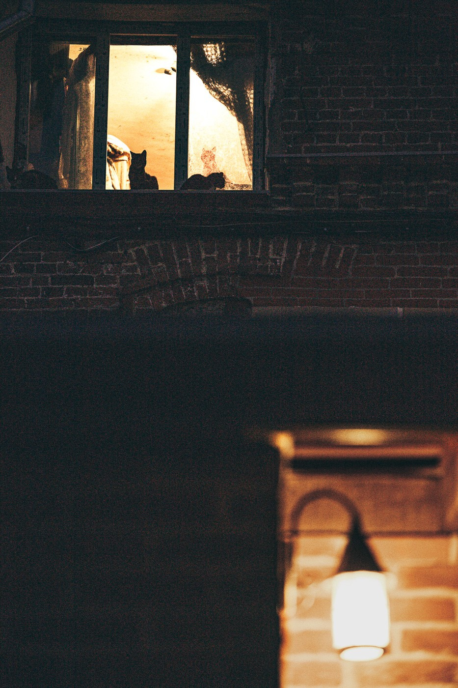 Уличная фотография. Андрей Кровлин — фотограф в Славянке