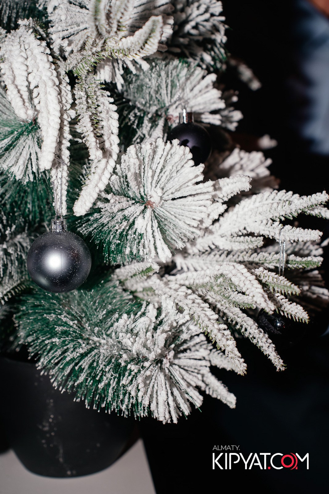 ГРУЗИНСКИЙ ДВОР НА КАБАНБАЙ БАТЫРА. КИПЯТКОМ АЛМАТЫ!