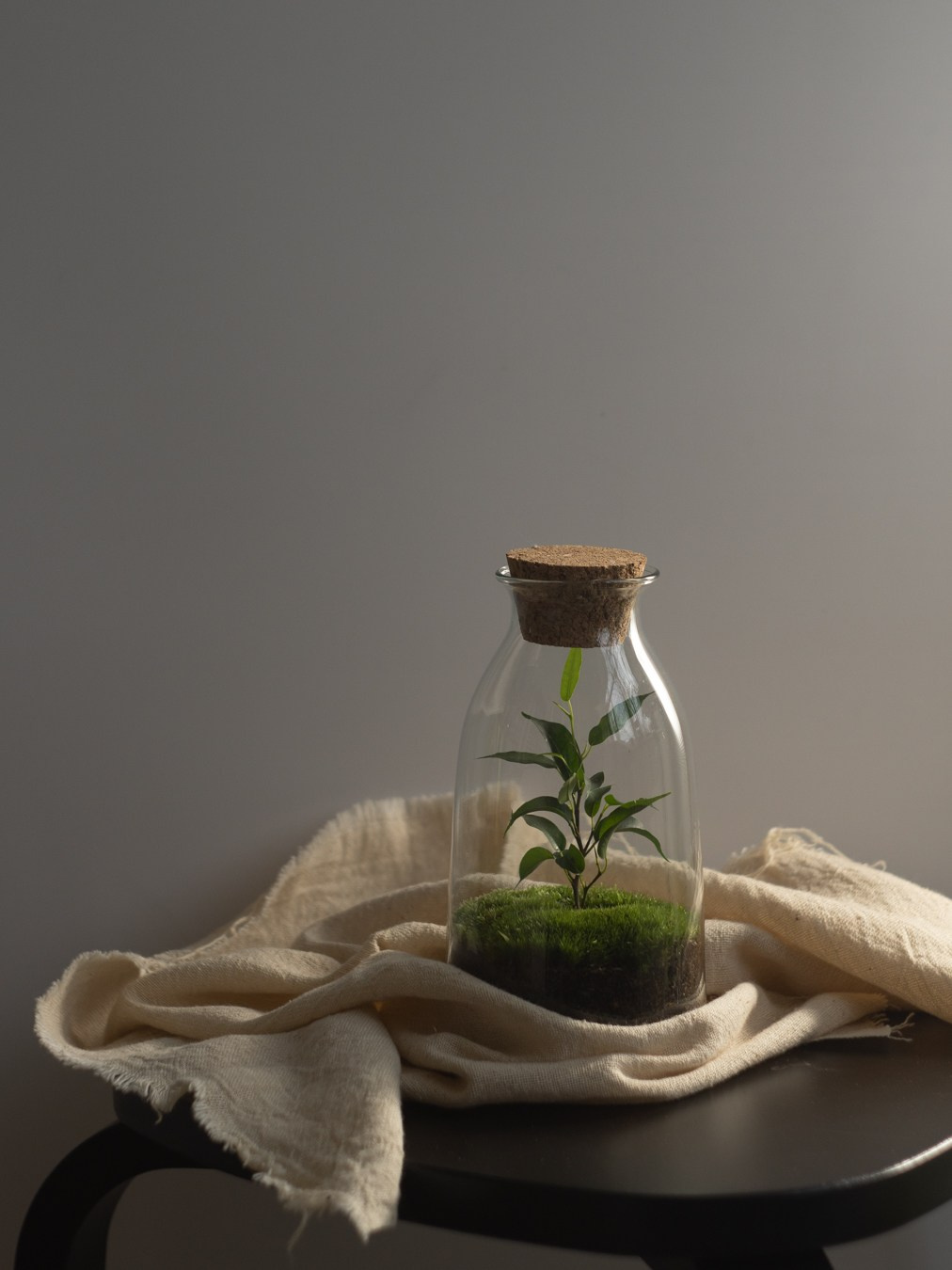 Домашний декор. Настасья Проценко. Фотограф