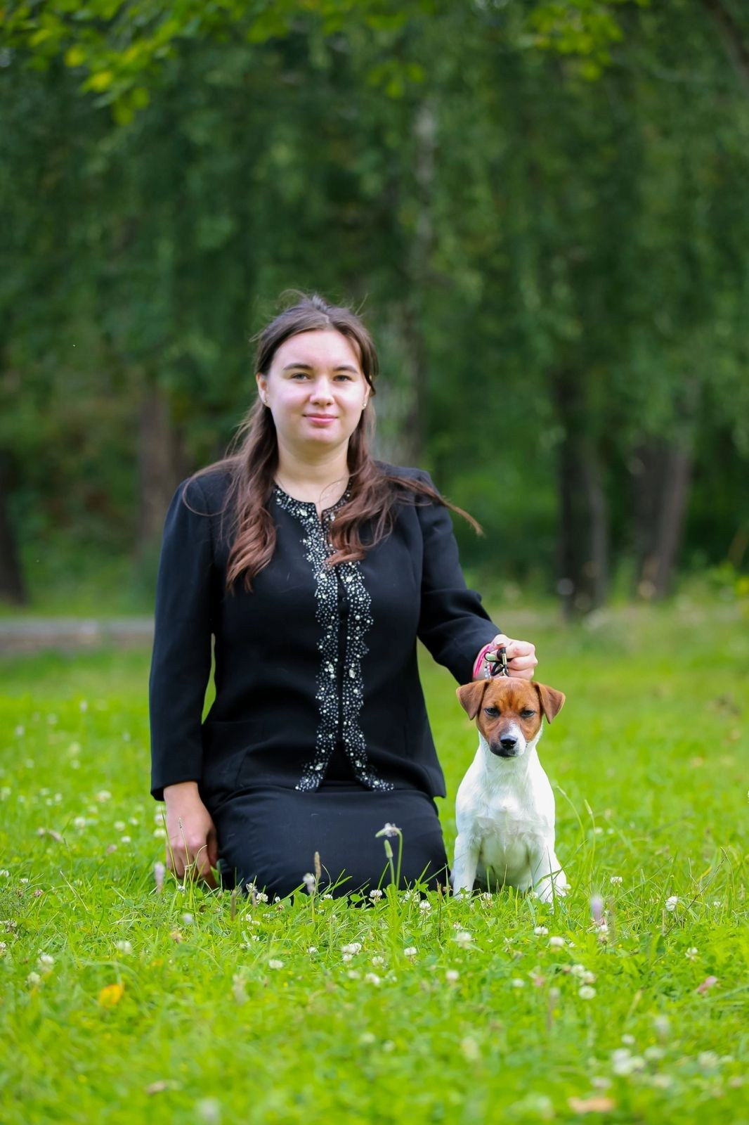 Джек рассел отзывы владельцев и покупателей щенков. CANE MAESTRO — kennel Jack Russell Terrier