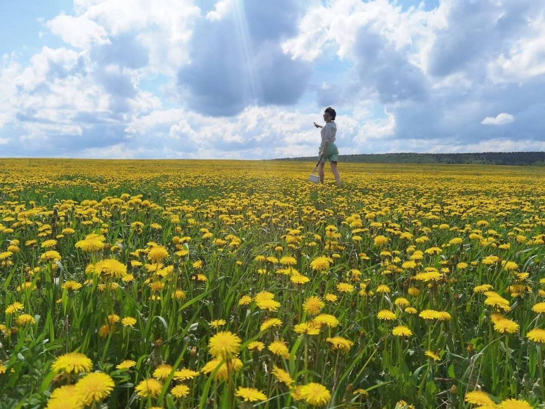 Anka`s Instagram. Заставка