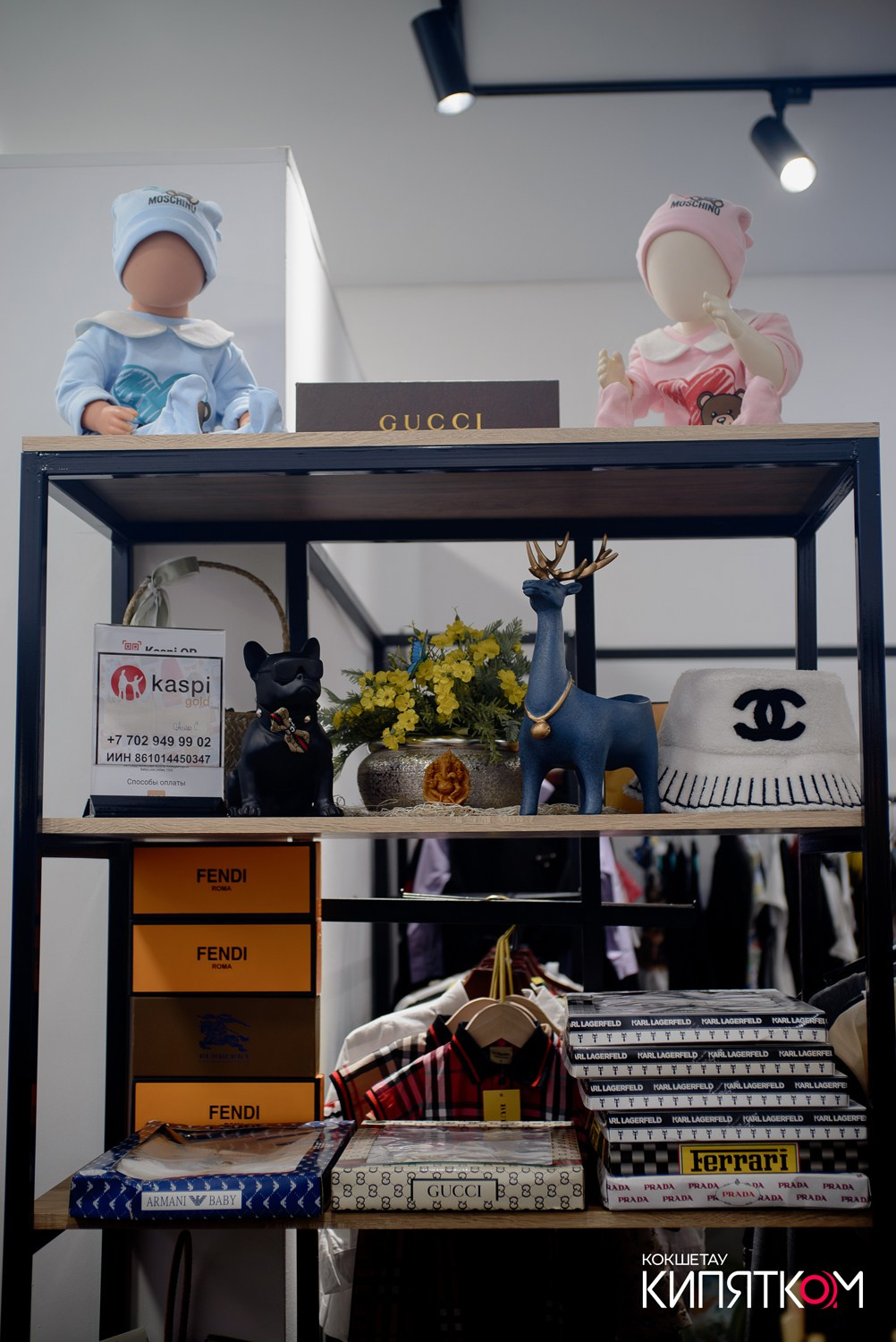 SAGITOVABRANDS. КИПЯТКОМ КОКШЕТАУ