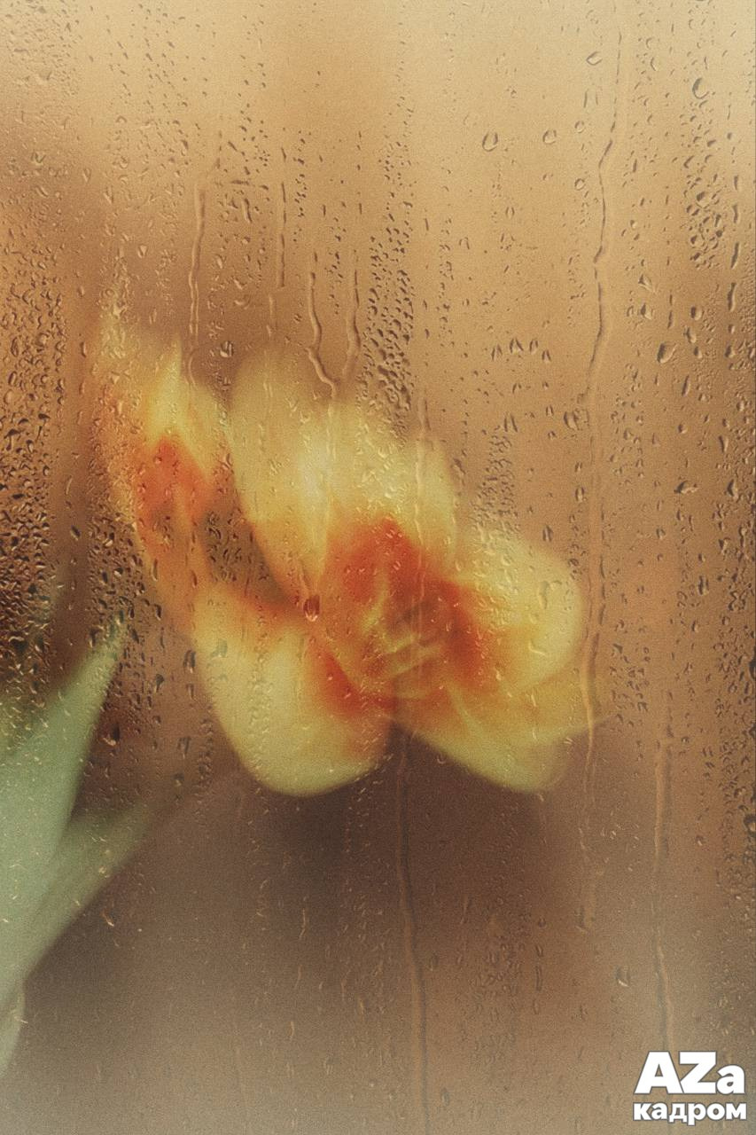 AZакадром Импрессинизм. Женский семейный фотограф Тула Москва Захарова Анна