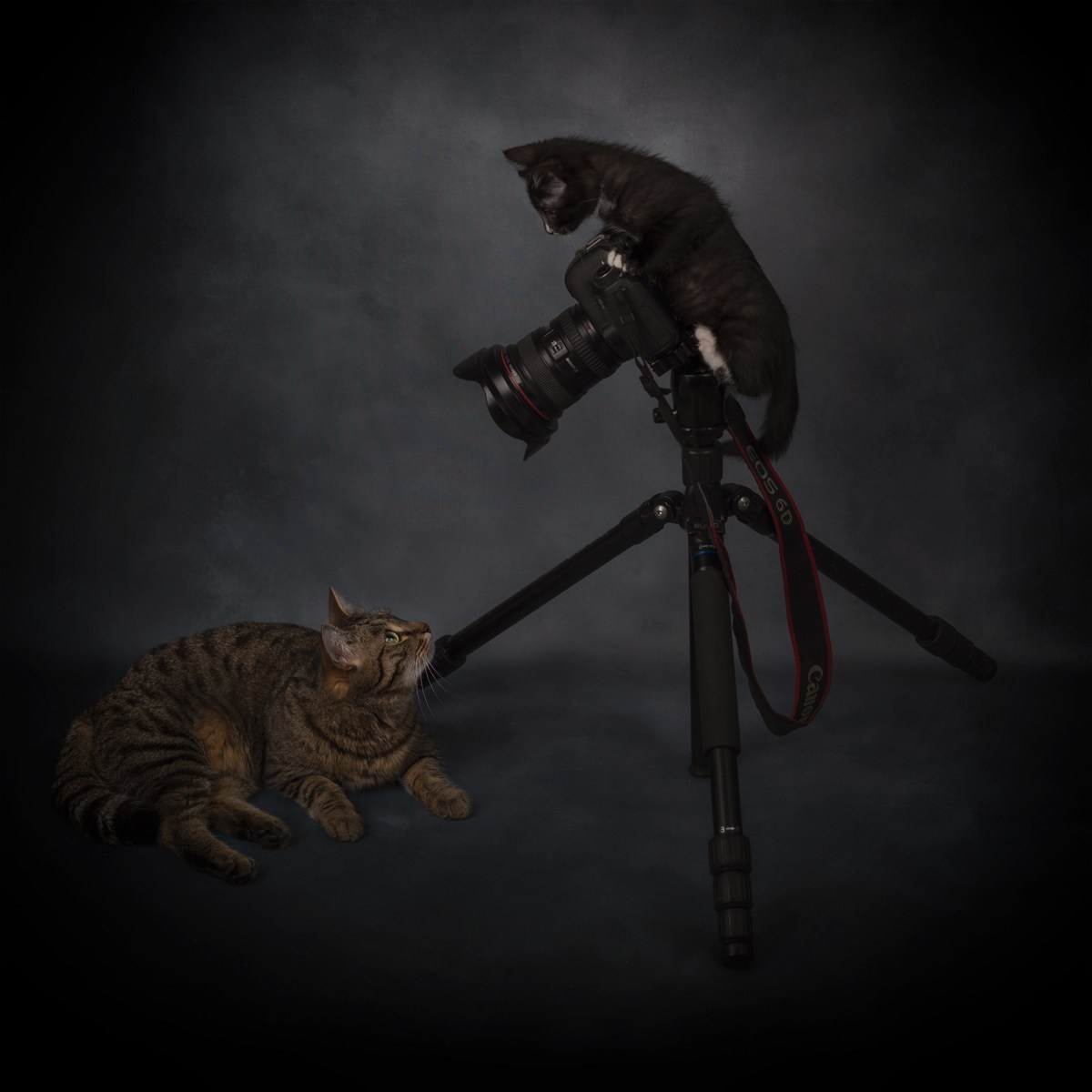 Разное. Фотограф Александр Чазов