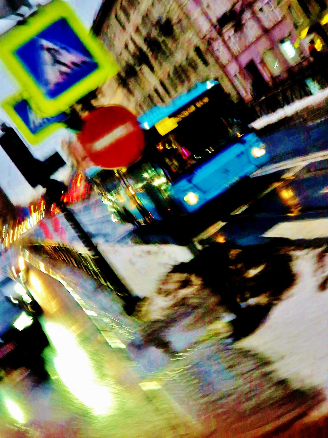 St. Petersburg. Juliarubis.com